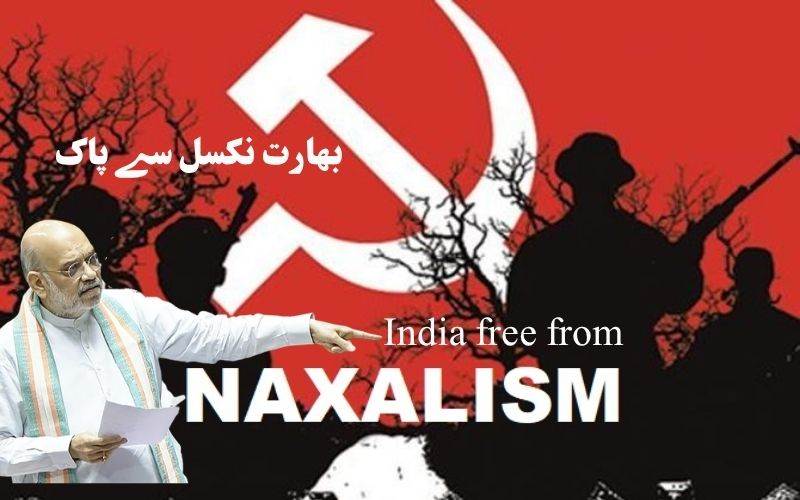 بھارت سے نکسل ازم تقریباً ختم: امت شاہ کا لوک سبھا میں دعویٰ